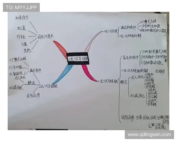 代怀博的成长之路与未来展望:从学术研究到社会实践的多元探索