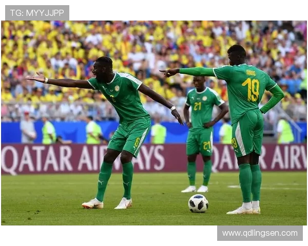 巴西与喀麦隆11月21日比赛结果分析及精彩瞬间回顾